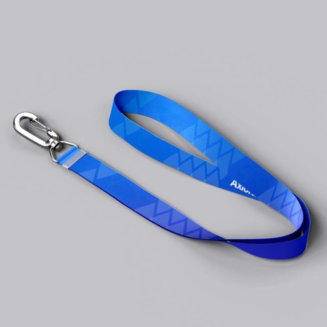 Lanyards